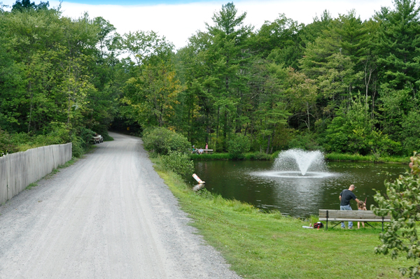 the fishing pond
